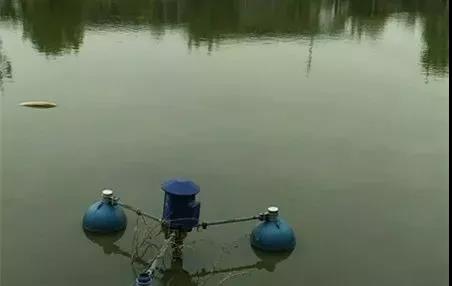 色翁荡息又大又硬又粗又爽