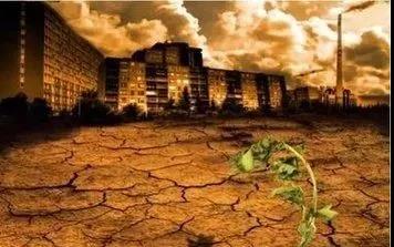 色翁荡息又大又硬又粗又爽