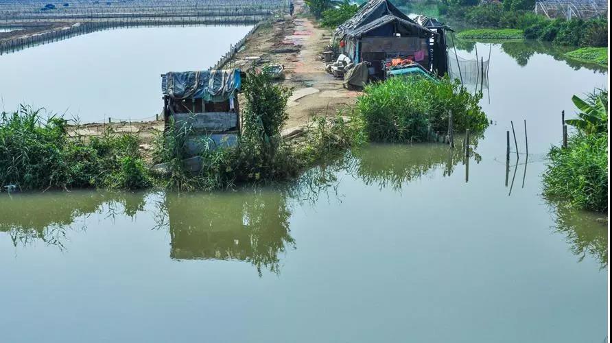 色翁荡息又大又硬又粗又爽
