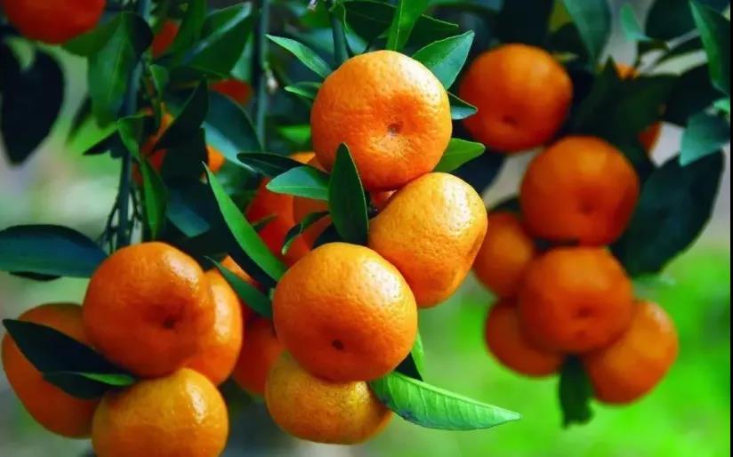 色翁荡息又大又硬又粗又爽