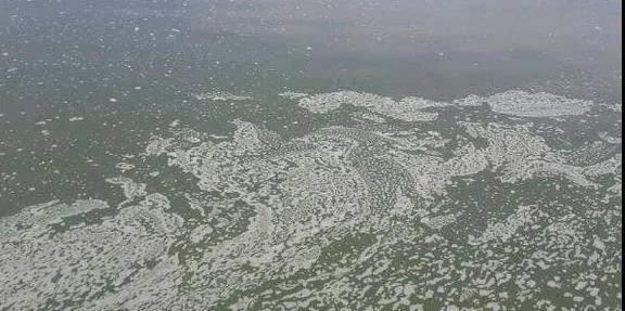 色翁荡息又大又硬又粗又爽