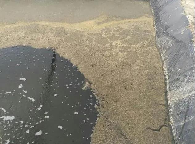 色翁荡息又大又硬又粗又爽