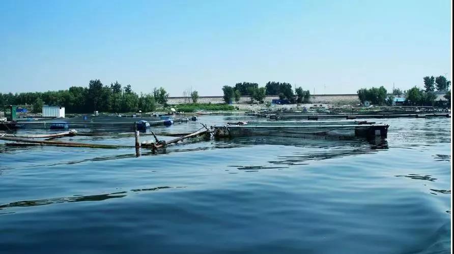 色翁荡息又大又硬又粗又爽