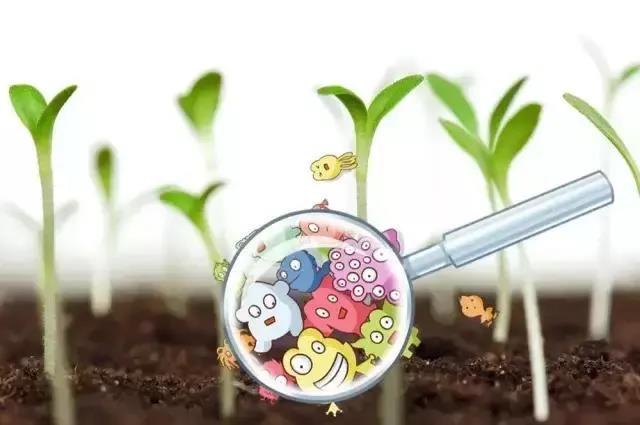 色翁荡息又大又硬又粗又爽