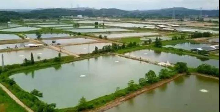 色翁荡息又大又硬又粗又爽