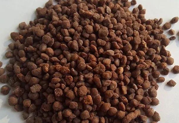 色翁荡息又大又硬又粗又爽