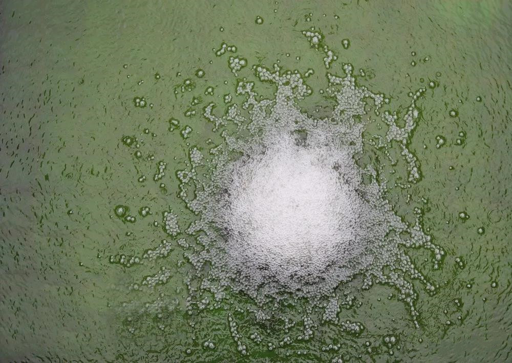 色翁荡息又大又硬又粗又爽