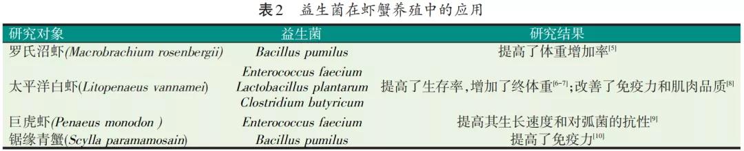 色翁荡息又大又硬又粗又爽
