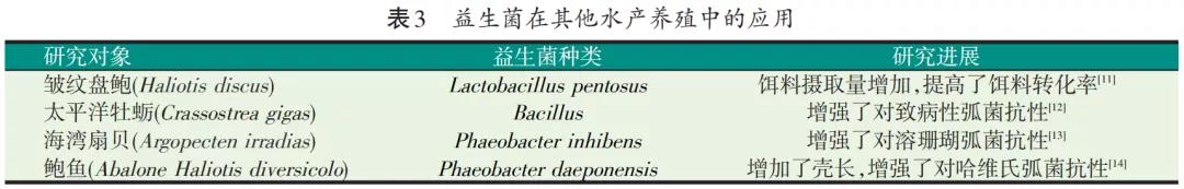 色翁荡息又大又硬又粗又爽