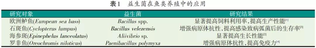 色翁荡息又大又硬又粗又爽