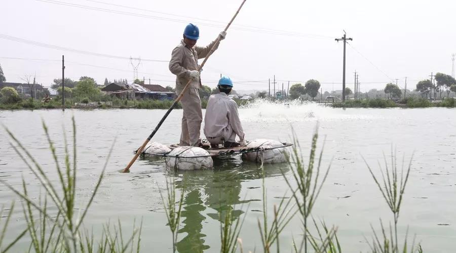 色翁荡息又大又硬又粗又爽