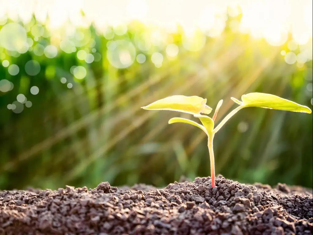 色翁荡息又大又硬又粗又爽