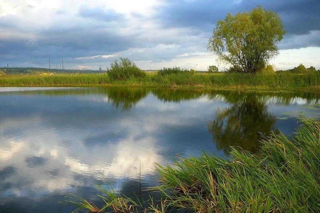 色翁荡息又大又硬又粗又爽