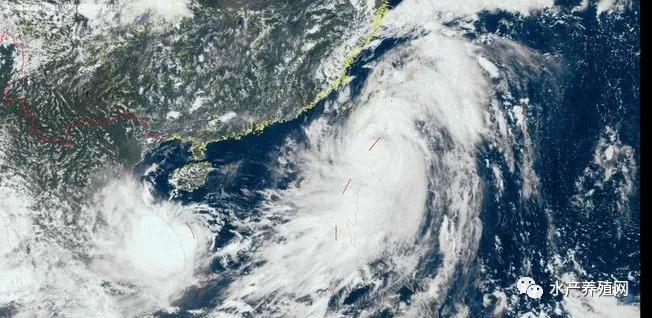 色翁荡息又大又硬又粗又爽