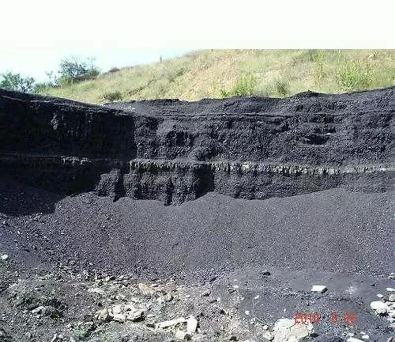 色翁荡息又大又硬又粗又爽