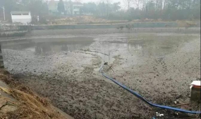 色翁荡息又大又硬又粗又爽