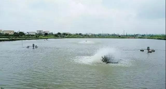 色翁荡息又大又硬又粗又爽