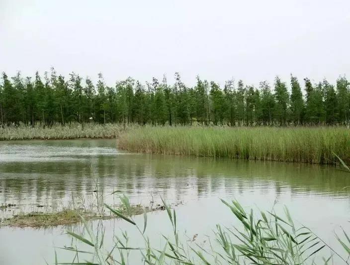 色翁荡息又大又硬又粗又爽