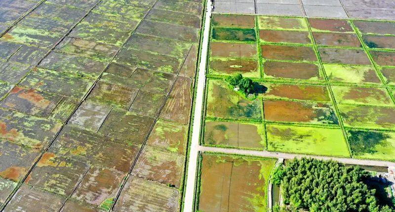 色翁荡息又大又硬又粗又爽