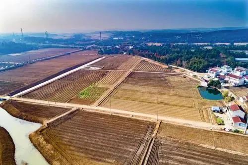 色翁荡息又大又硬又粗又爽