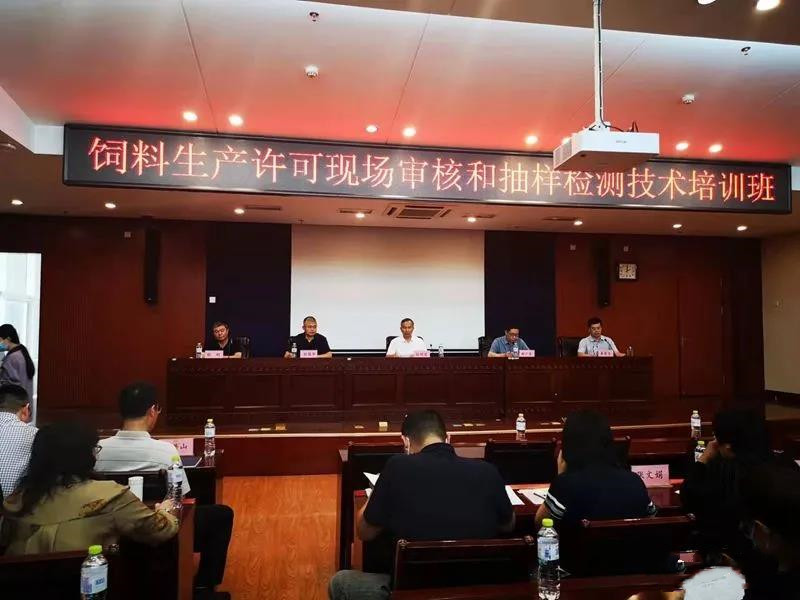 色翁荡息又大又硬又粗又爽