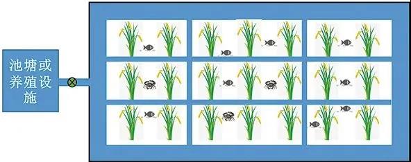 色翁荡息又大又硬又粗又爽