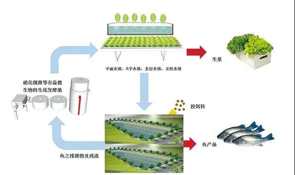 色翁荡息又大又硬又粗又爽
