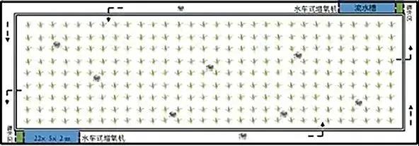 色翁荡息又大又硬又粗又爽