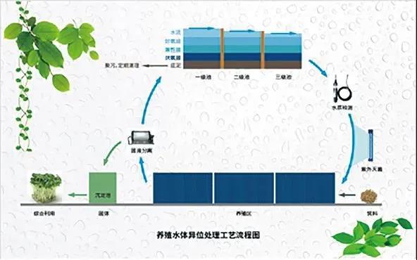 色翁荡息又大又硬又粗又爽