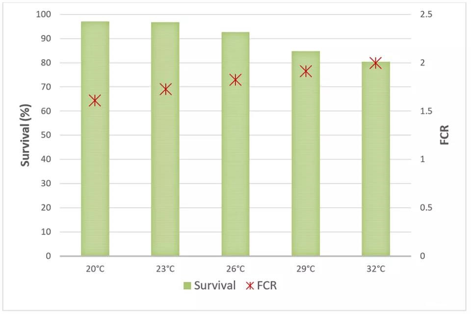 色翁荡息又大又硬又粗又爽
