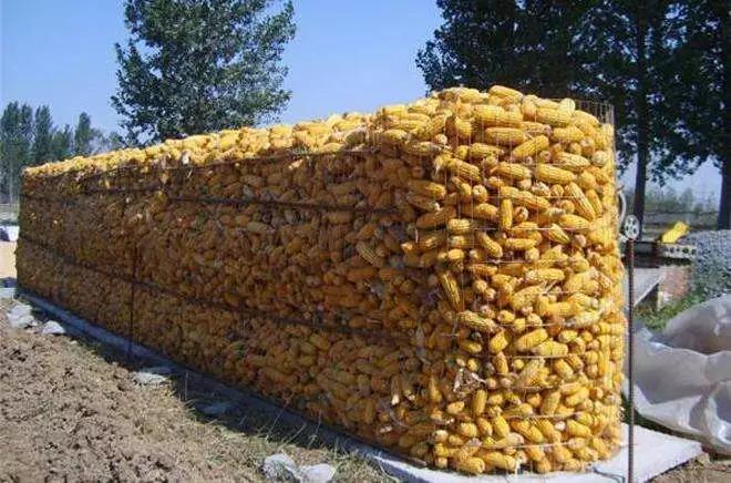 色翁荡息又大又硬又粗又爽