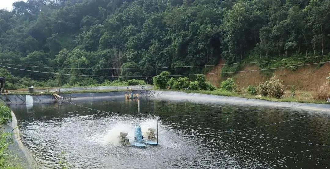 色翁荡息又大又硬又粗又爽