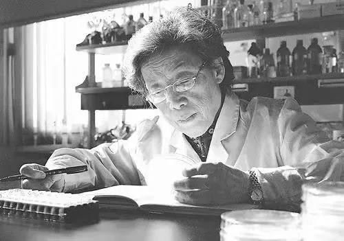 色翁荡息又大又硬又粗又爽