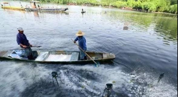 色翁荡息又大又硬又粗又爽