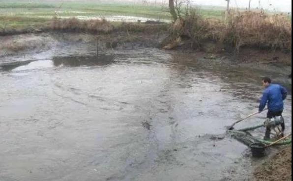 色翁荡息又大又硬又粗又爽