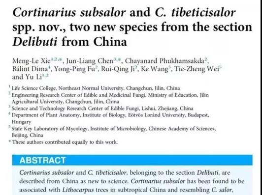 色翁荡息又大又硬又粗又爽