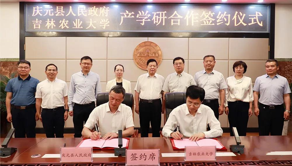 色翁荡息又大又硬又粗又爽