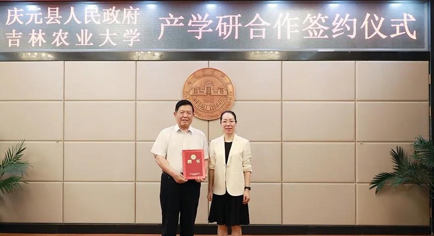 色翁荡息又大又硬又粗又爽