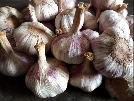 色翁荡息又大又硬又粗又爽