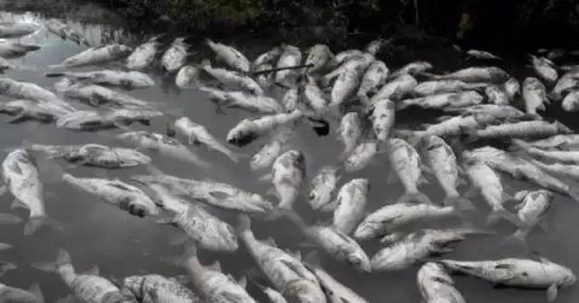 色翁荡息又大又硬又粗又爽