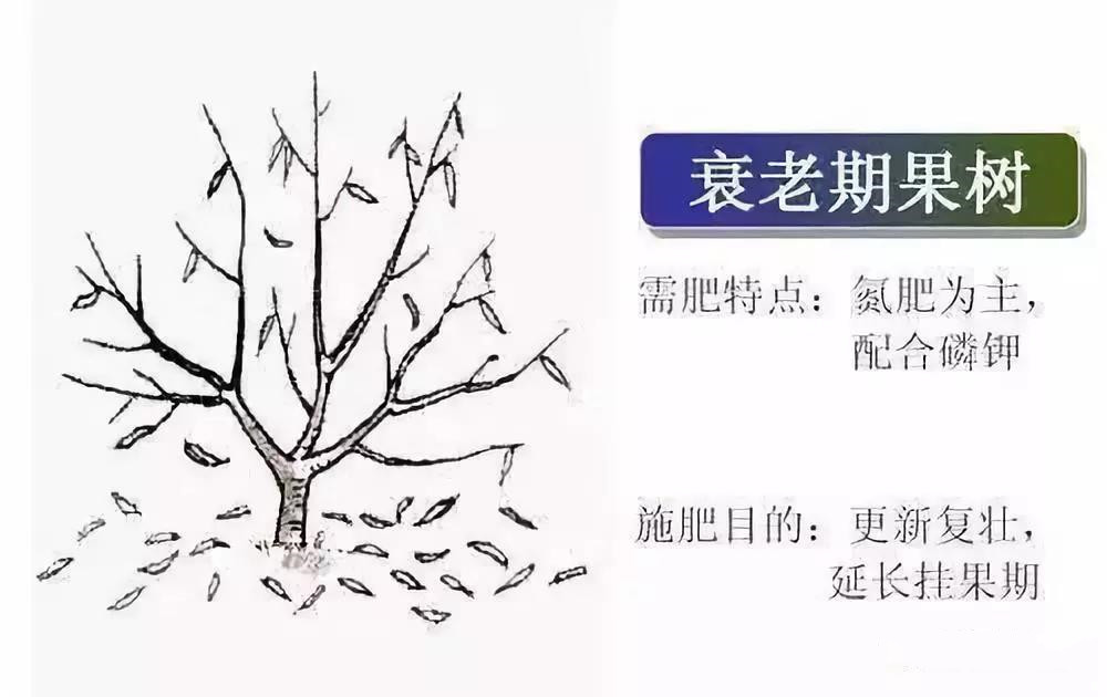 色翁荡息又大又硬又粗又爽