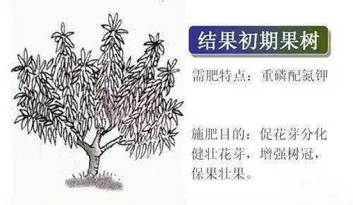 色翁荡息又大又硬又粗又爽