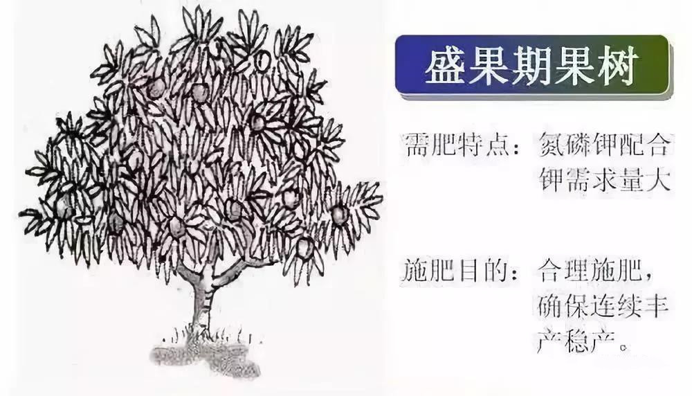 色翁荡息又大又硬又粗又爽