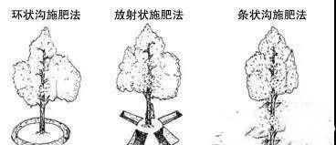 色翁荡息又大又硬又粗又爽