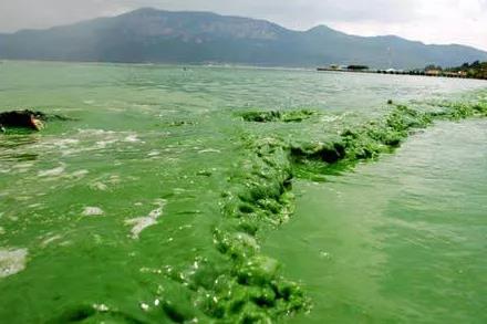 色翁荡息又大又硬又粗又爽