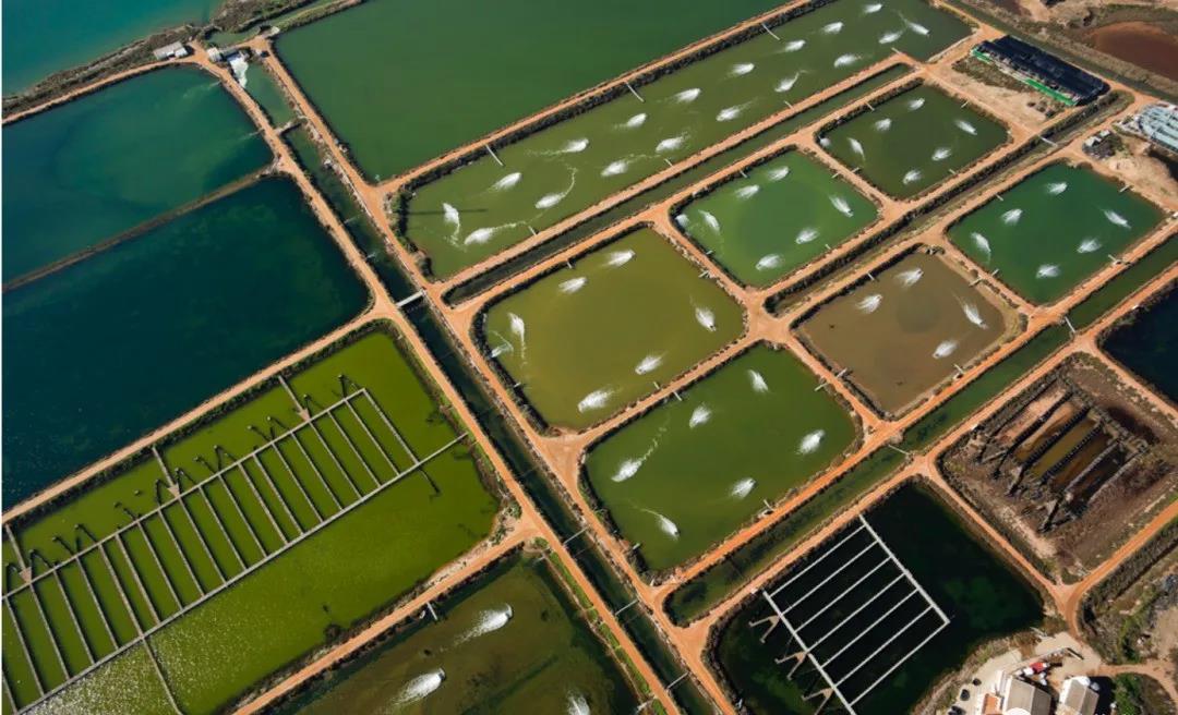 色翁荡息又大又硬又粗又爽