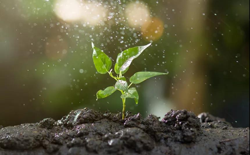 色翁荡息又大又硬又粗又爽