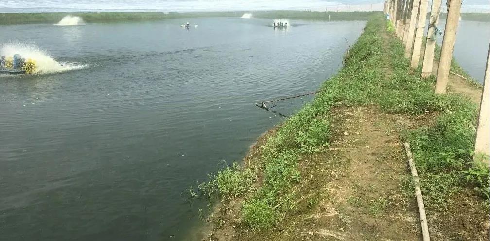 色翁荡息又大又硬又粗又爽