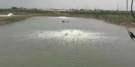 色翁荡息又大又硬又粗又爽