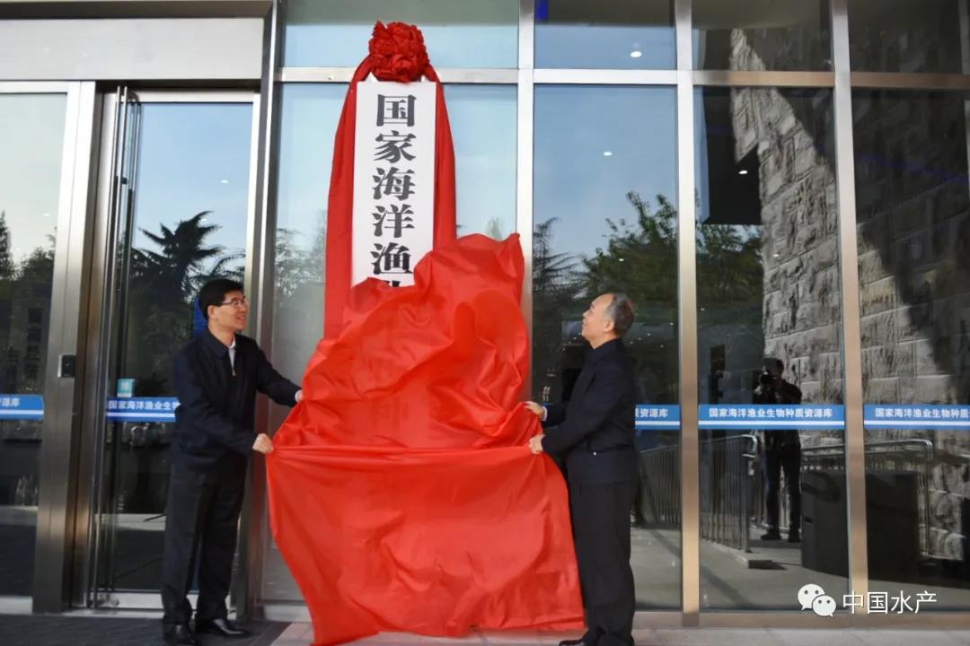 色翁荡息又大又硬又粗又爽